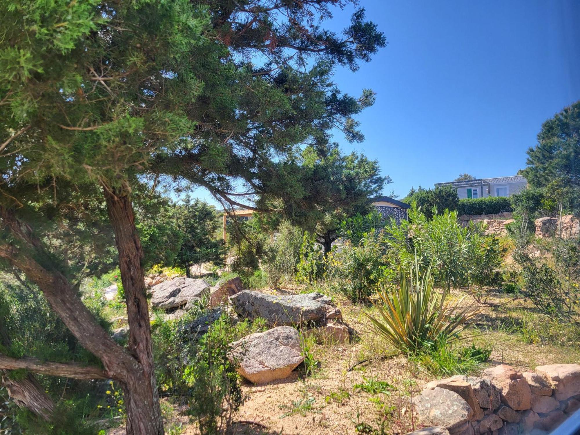 Camping Rondinara Bonifacio  Εξωτερικό φωτογραφία